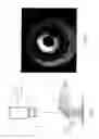 Fig. 06 - Method for detecting the presence or absence of biological particles