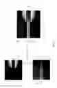 Fig. 13 - Method for detecting the presence or absence of biological particles