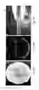 Fig. 22 - Method for detecting the presence or absence of biological particles