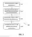 Fig. 02 - IN VITRO CELLULAR ANALYSIS