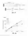 Fig. 02 - Methods for improving the efficacy and expansion of immune cells