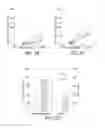 Fig. 05 - Methods for improving the efficacy and expansion of immune cells