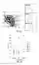 Fig. 07 - Methods for improving the efficacy and expansion of immune cells