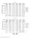 Fig. 13 - Methods for improving the efficacy and expansion of immune cells