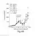 Fig. 14 - Methods for improving the efficacy and expansion of immune cells