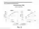 Fig. 20 - Methods for improving the efficacy and expansion of immune cells