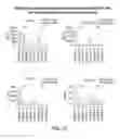 Fig. 25 - Methods for improving the efficacy and expansion of immune cells