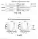 Fig. 34 - Methods for improving the efficacy and expansion of immune cells