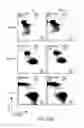 Fig. 46 - Methods for improving the efficacy and expansion of immune cells