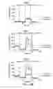 Fig. 49 - Methods for improving the efficacy and expansion of immune cells