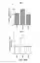 Fig. 59 - Methods for improving the efficacy and expansion of immune cells