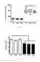 Fig. 02 - Polypeptide hydrogels and uses related thereto