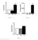 Fig. 06 - Polypeptide hydrogels and uses related thereto