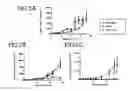 Fig. 03 - Enhanced adoptive cell therapy