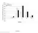 Fig. 22 - METHODS AND COMPOSITIONS FOR TREATING INEFFECTIVE ERYTHROPOIESIS
