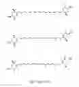 Fig. 02 - RECOMBINANT POLYNUCLEOTIDE SEQUENCE FOR PRODUCING ASTAXANTHIN AND USES THEREOF