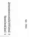 Fig. 15 - RECOMBINANT POLYNUCLEOTIDE SEQUENCE FOR PRODUCING ASTAXANTHIN AND USES THEREOF