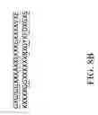 Fig. 17 - RECOMBINANT POLYNUCLEOTIDE SEQUENCE FOR PRODUCING ASTAXANTHIN AND USES THEREOF