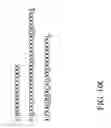 Fig. 21 - RECOMBINANT POLYNUCLEOTIDE SEQUENCE FOR PRODUCING ASTAXANTHIN AND USES THEREOF