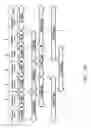 Fig. 28 - RECOMBINANT POLYNUCLEOTIDE SEQUENCE FOR PRODUCING ASTAXANTHIN AND USES THEREOF