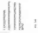 Fig. 31 - RECOMBINANT POLYNUCLEOTIDE SEQUENCE FOR PRODUCING ASTAXANTHIN AND USES THEREOF