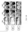 Fig. 44 - RECOMBINANT POLYNUCLEOTIDE SEQUENCE FOR PRODUCING ASTAXANTHIN AND USES THEREOF