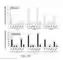 Fig. 45 - RECOMBINANT POLYNUCLEOTIDE SEQUENCE FOR PRODUCING ASTAXANTHIN AND USES THEREOF