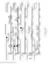 Fig. 50 - RECOMBINANT POLYNUCLEOTIDE SEQUENCE FOR PRODUCING ASTAXANTHIN AND USES THEREOF