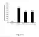 Fig. 51 - RECOMBINANT POLYNUCLEOTIDE SEQUENCE FOR PRODUCING ASTAXANTHIN AND USES THEREOF