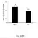 Fig. 52 - RECOMBINANT POLYNUCLEOTIDE SEQUENCE FOR PRODUCING ASTAXANTHIN AND USES THEREOF
