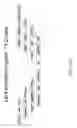 Fig. 53 - RECOMBINANT POLYNUCLEOTIDE SEQUENCE FOR PRODUCING ASTAXANTHIN AND USES THEREOF