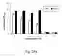 Fig. 67 - RECOMBINANT POLYNUCLEOTIDE SEQUENCE FOR PRODUCING ASTAXANTHIN AND USES THEREOF