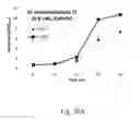 Fig. 71 - RECOMBINANT POLYNUCLEOTIDE SEQUENCE FOR PRODUCING ASTAXANTHIN AND USES THEREOF
