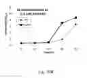 Fig. 72 - RECOMBINANT POLYNUCLEOTIDE SEQUENCE FOR PRODUCING ASTAXANTHIN AND USES THEREOF
