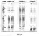 Fig. 07 - Mutant dehalogenase proteins