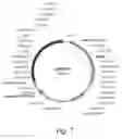 Fig. 18 - POLYPEPTIDES HAVING ALPHA-GLUCOSIDASE ACTIVITY AND POLYNUCLEOTIDES ENCODING SAME