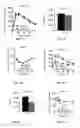 Fig. 05 - COMPOSITIONS AND METHODS FOR TREATING DIABETES