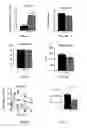 Fig. 07 - COMPOSITIONS AND METHODS FOR TREATING DIABETES