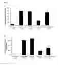 Fig. 06 - METHODS AND COMPOSITIONS FOR SYNTHETIC RNA ENDONUCLEASES