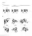 Fig. 12 - METHODS AND COMPOSITIONS FOR SYNTHETIC RNA ENDONUCLEASES