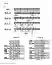 Fig. 35 - METHODS AND COMPOSITIONS FOR SYNTHETIC RNA ENDONUCLEASES