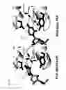 Fig. 37 - METHODS AND COMPOSITIONS FOR SYNTHETIC RNA ENDONUCLEASES