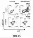Fig. 02 - COMPOSITIONS AND METHODS FOR MODULATING MYELOID DERIVED SUPPRESSOR CELLS