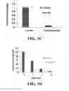 Fig. 04 - COMPOSITIONS AND METHODS FOR MODULATING MYELOID DERIVED SUPPRESSOR CELLS