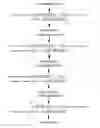 Fig. 02 - NOVEL SINGLE CHEMICAL ENTITIES AND METHODS FOR DELIVERY OF OLIGONUCLEOTIDES