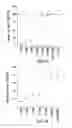 Fig. 04 - NOVEL SINGLE CHEMICAL ENTITIES AND METHODS FOR DELIVERY OF OLIGONUCLEOTIDES