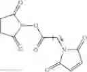 Fig. 12 - NOVEL SINGLE CHEMICAL ENTITIES AND METHODS FOR DELIVERY OF OLIGONUCLEOTIDES