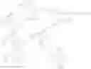 Fig. 27 - NOVEL SINGLE CHEMICAL ENTITIES AND METHODS FOR DELIVERY OF OLIGONUCLEOTIDES