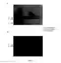 Fig. 02 - STAT5 inhibitors and use thereof