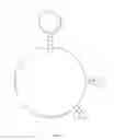 Fig. 05 - STAT5 inhibitors and use thereof